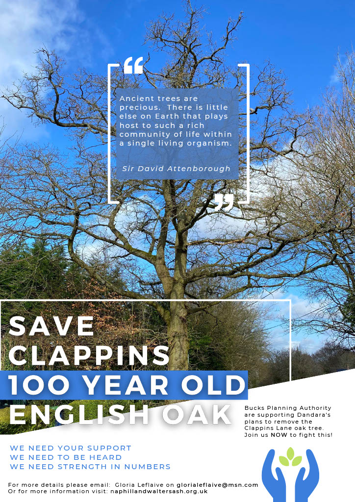 Clappins Lane Tree